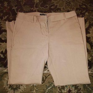 Express Columnist Skinny Pant